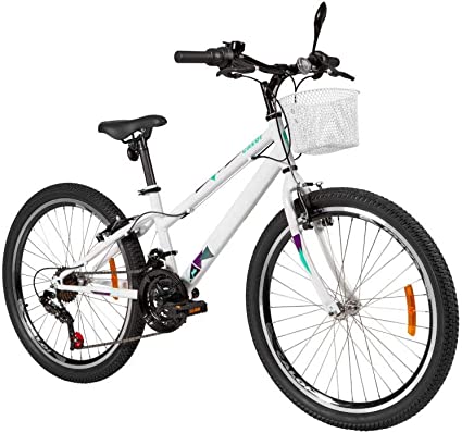 Bicicleta usada aro 24 feminina