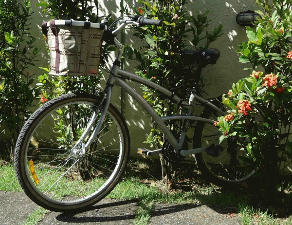 Cesta para online mountain bike